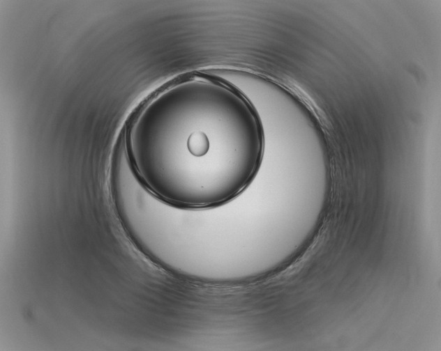 X0000115830884200911131503