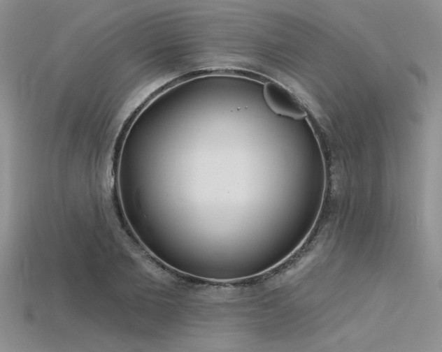 X0000115830885200911131503