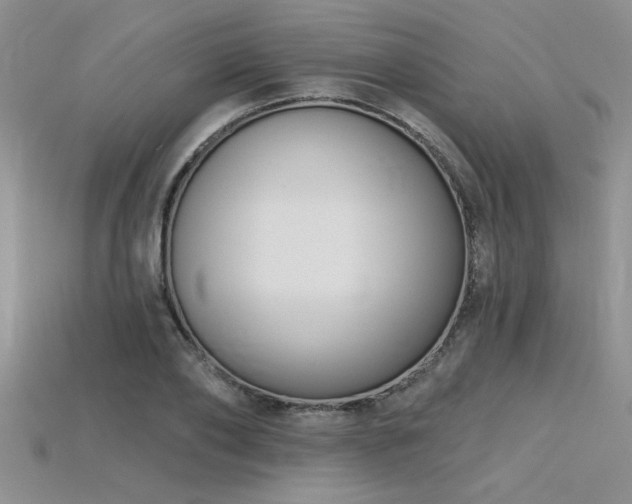 X0000115830886200911131503