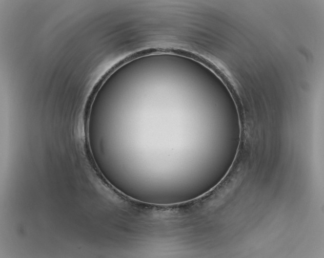 X0000115830887200911131503