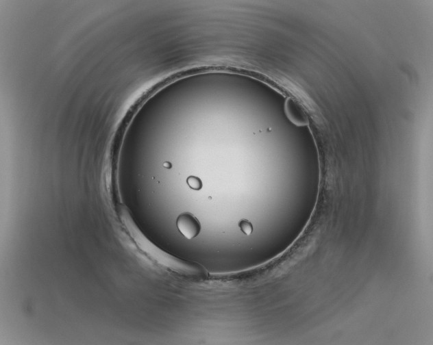 X0000115830888200911131503