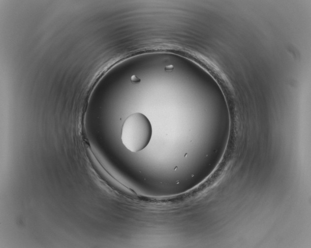 X0000115830889200911131503