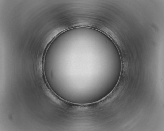 X0000115830890200911131503