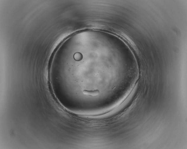 X0000115830891200911131503