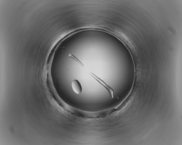 X0000115830892200911131503