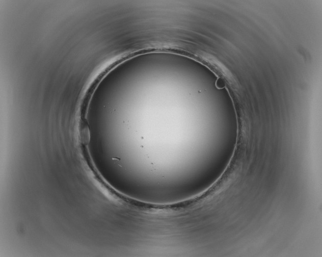 X0000115830894200911131503