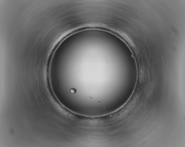 X0000115830895200911131503