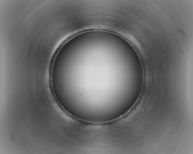 X0000115830896200911131503