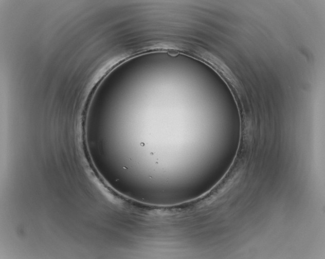 X0000115830898200911131503