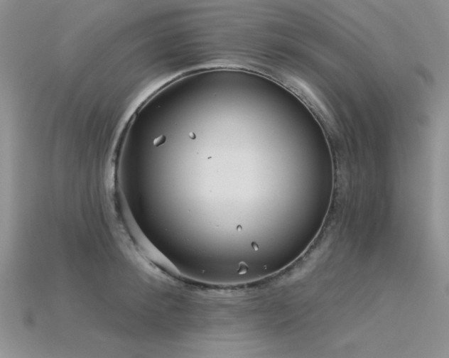 X0000115830900200911131503