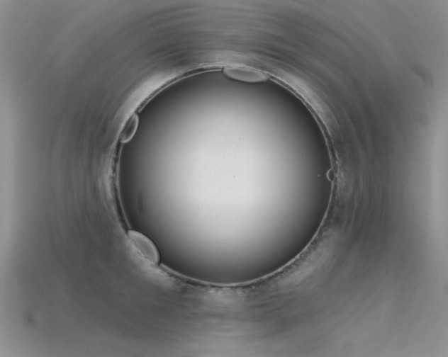 X0000115830901200911131503