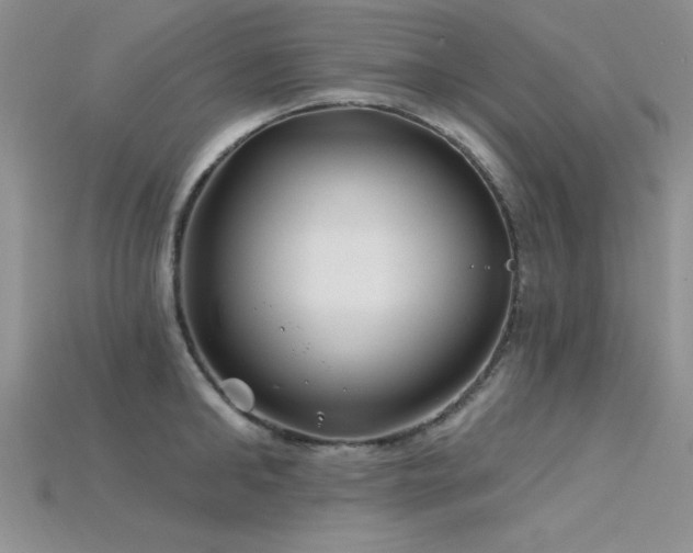 X0000115830902200911131503