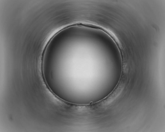 X0000115830903200911131503