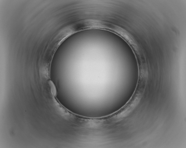 X0000115830905200911131503