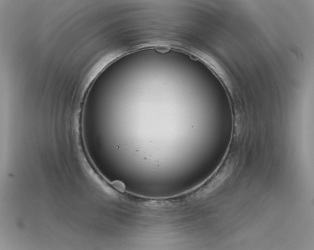 X0000115830906200911131503