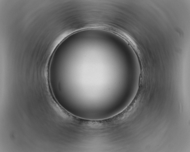 X0000115830907200911131503