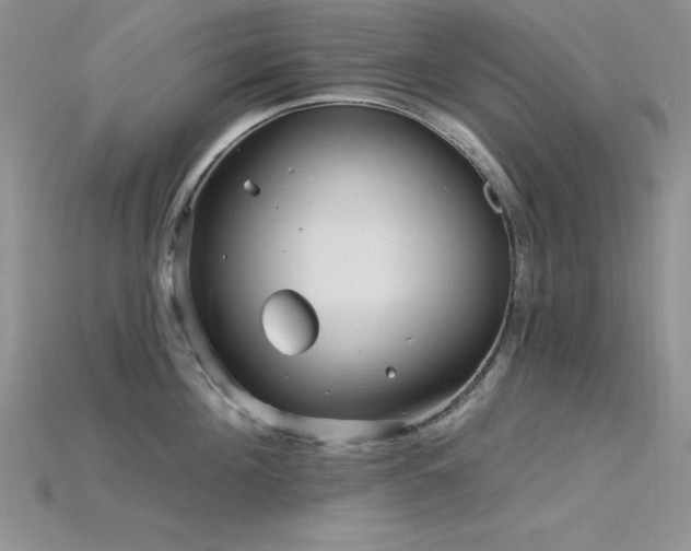 X0000115830908200911131503