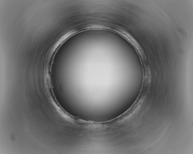 X0000115830909200911131503