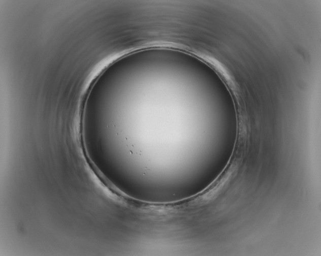 X0000115830910200911131503