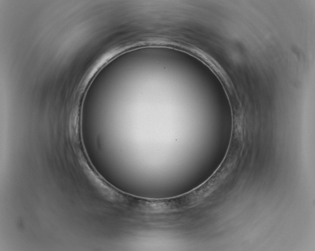 X0000115830911200911131503