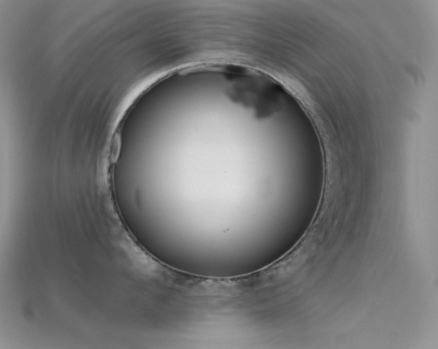 X0000115830912200911131503