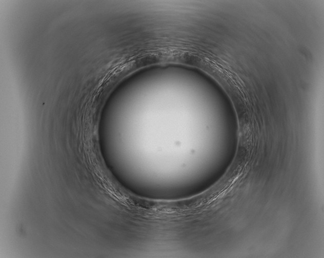 X0000115830913200911131502