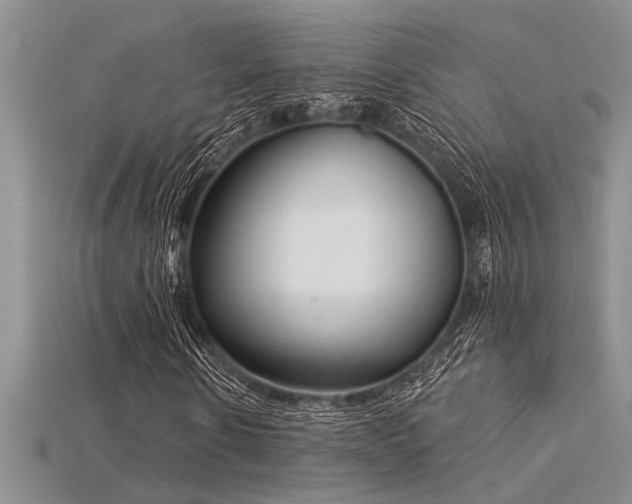 X0000115830914200911131502