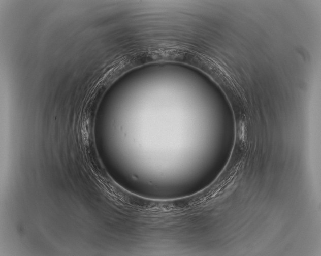 X0000115830915200911131502