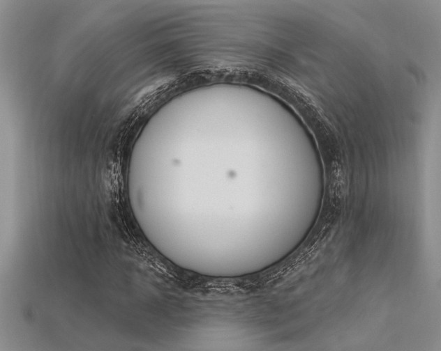 X0000115830918200911131502