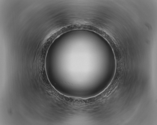 X0000115830919200911131502