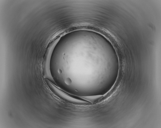 X0000115830921200911131502