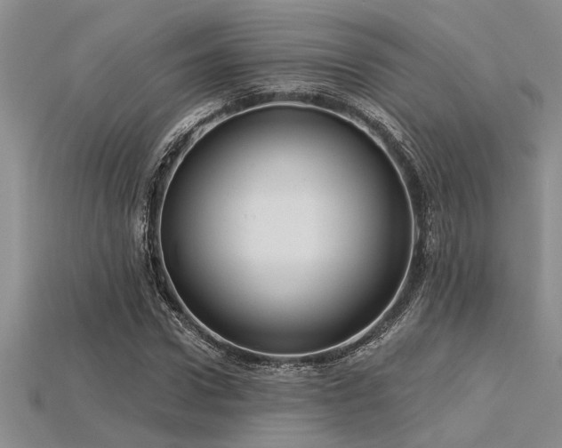 X0000115830922200911131502