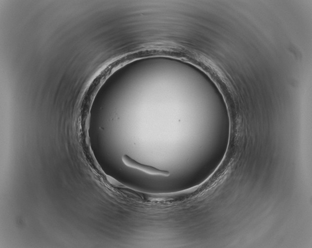 X0000115830923200911131502