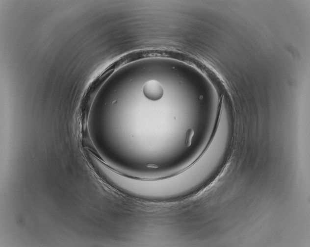 X0000115830925200911131502