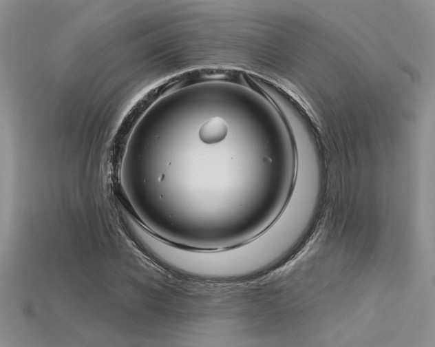 X0000115830926200911131502