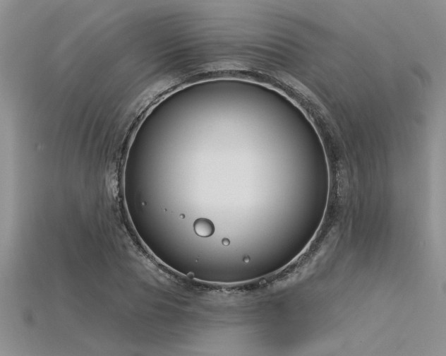 X0000115830929200911131502