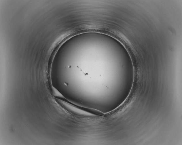 X0000115830930200911131502