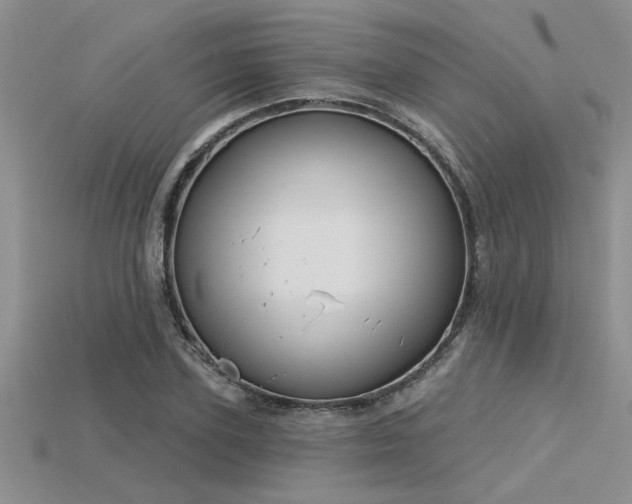 X0000115830931200911131502