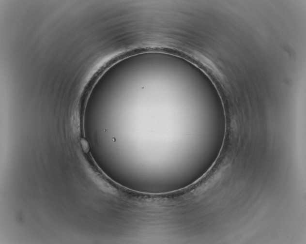 X0000115830934200911131502