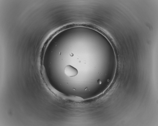 X0000115830935200911131502