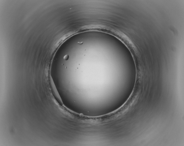 X0000115830937200911131502