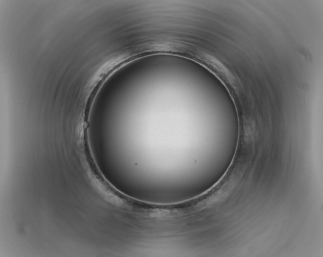 X0000115830938200911131502