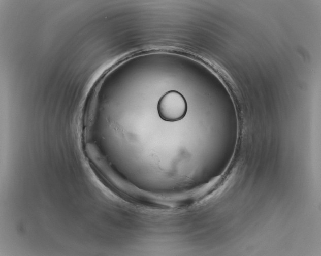 X0000115830941200911131503