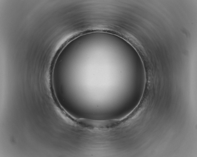 X0000115830942200911131503