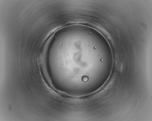 X0000115830945200911131503