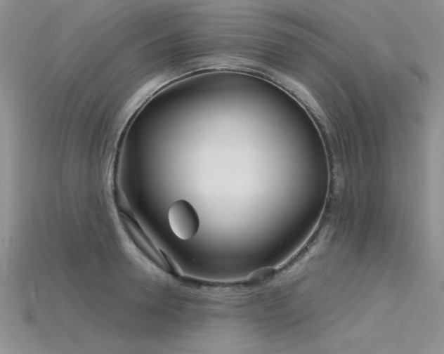 X0000115830946200911131503