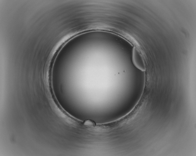 X0000115830947200911131503