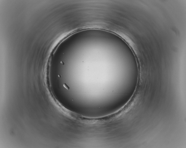 X0000115830949200911131503