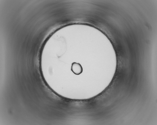 X0000115830950200911131503