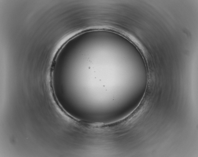 X0000115830951200911131503